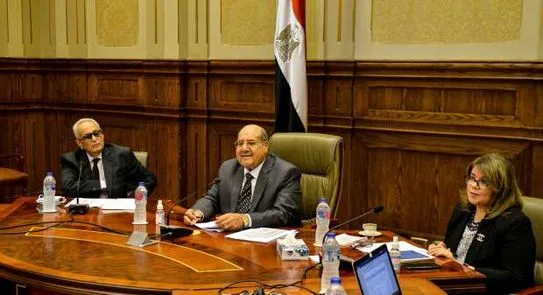 لجنة إعداد لائحة مجلس الشيوخ تواصل أعمالها غدا (تفاصيل)