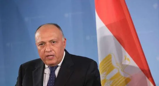 وزير الخارجية يعلق على جهود المصالحة بين الرباعية وقطر (تفاصيل)