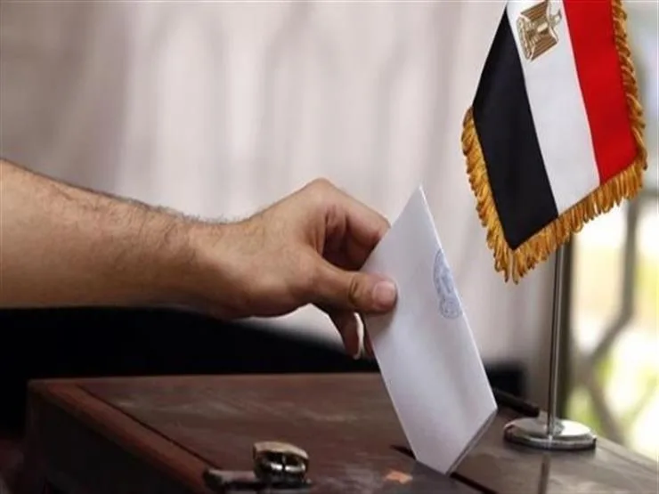 ٦ مخالفات في ٧ محافظات.. انتخابات مجلس النواب تختتم إعادتها جولتها الثانية
