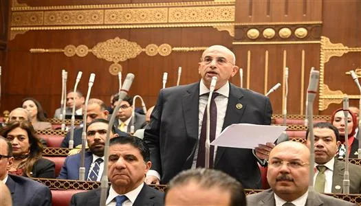 النائب أشرف عبد الغني يطالب بتعديل تشريعي عاجل لرفع حد التسجيل بضريبة القيمة المضافة للمشروعات الصغيرة