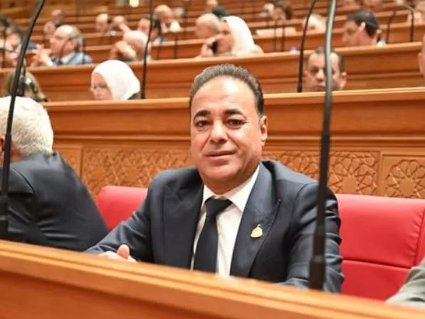 النائب سعيد العماري: مشاركة الرئيس السيسي في الاتصال الإقليمي مع ترامب تجسد ثقل مصر السياسي