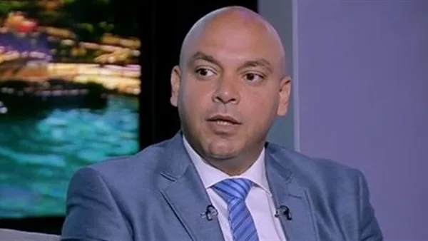 النائب محمود فيصل: الدبلوماسية المصرية استطاعت تغيير نظرة فرنسا تجاهنا