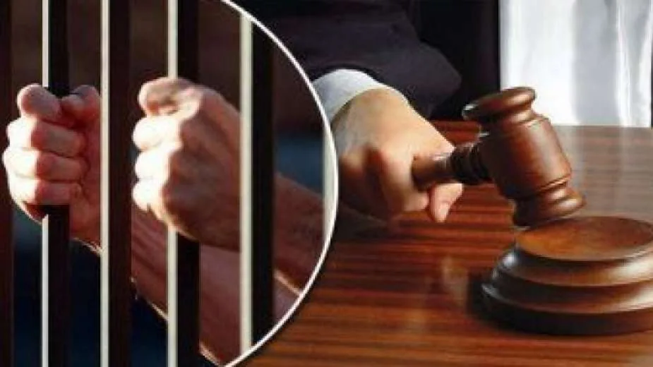 باعوا المحاصيل.. إحالة 13 مسئولا قياديا بوزارة الزراعة للمحاكمة