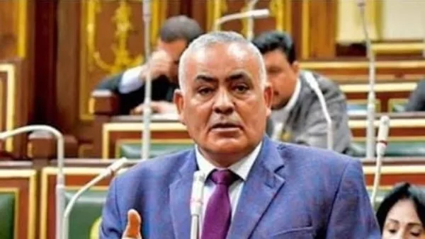 النائب لطفي شحاتة منتقدا مصطفى كامل: الشرقية أنجبت رموزا فنية وعلمية ساهمت في بناء الوطن
