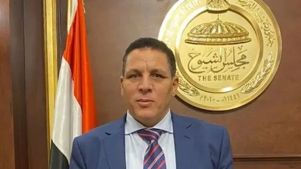 النائب أحمد محسن: المنطقة الاقتصادية لقناة السويس بوابة مصر نحو مركز تجاري عالمي