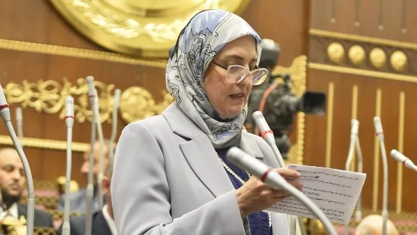 النائبة زينب فهيم تطالب بتسهيل التراخيص وتوفير منافذ تسويق حقيقية للمشروعات الصغيرة