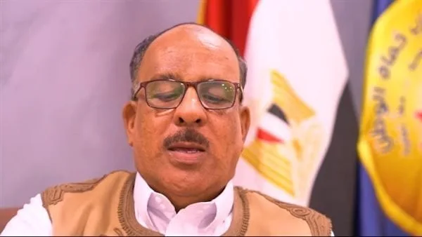 النائب محمد دخيل الجراري: مشاركة الرئيس السيسي بقمة أفريقيا - فرنسا تعزز مكانة مصر كشريك رئيسي في دعم التنمية بالقارة
