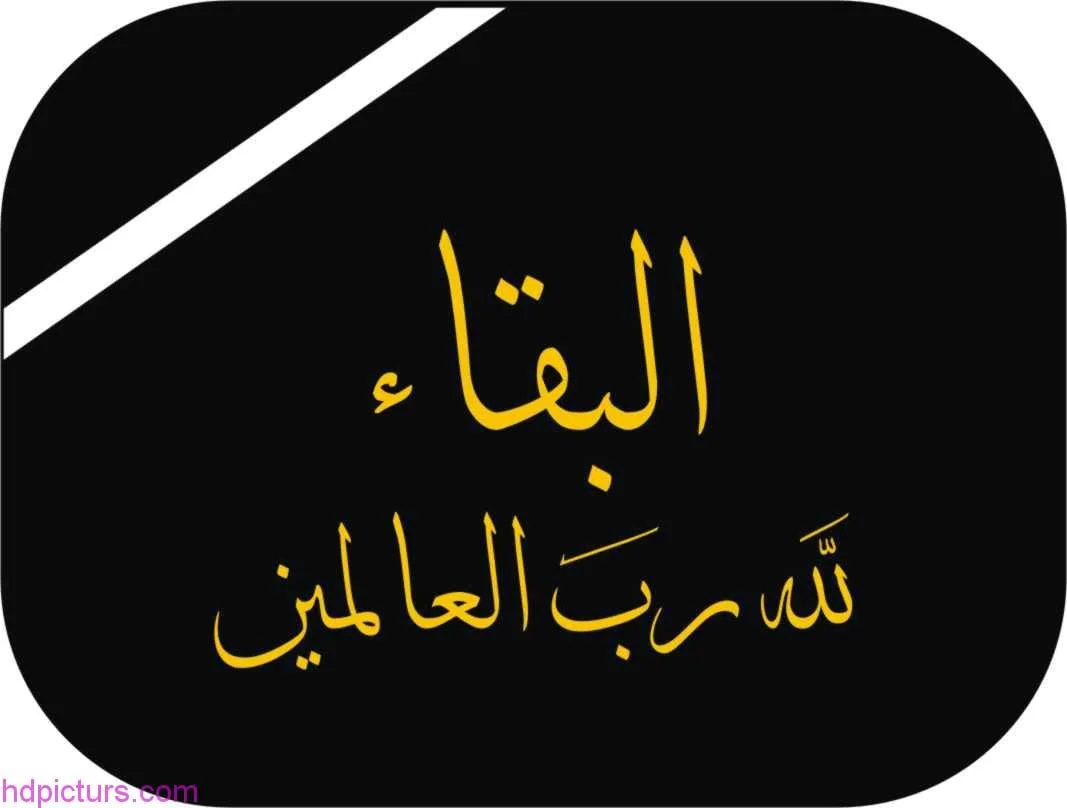 وفاة ابن عم النائب البرلمانى حسين جاد بكسر في قاع الجمجمة "مستندات"