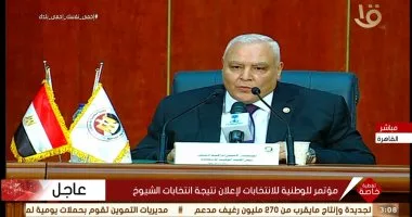 الوطنية للانتخابات: فوز 6 مرشحين في "الشيوخ" في الدقهلية