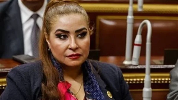 نقابة وهمية للمصريين في الخارج.. النائبة غادة عجمي تضغط على الحكومة لحماية المواطنين