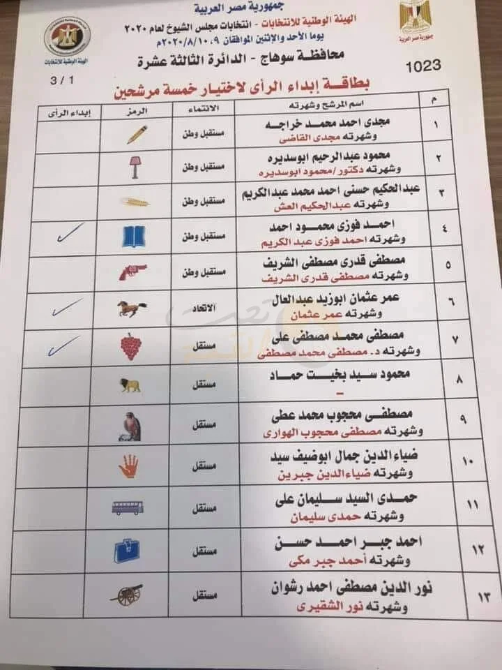 نادي على الصعيدي.. السوهاجية في الغربة يبطلون أصواتهم بالخطأ (التفاصيل)
