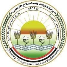 ازاي نأكل المصريين مانجه مسكرة؟.. الحكومة تضع توصيات جديدة للمزراعين