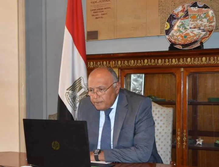 وزير الخارجية: الشعب المصري يقدر مدى تمتعه بحقوقه السياسية والاقتصادية
