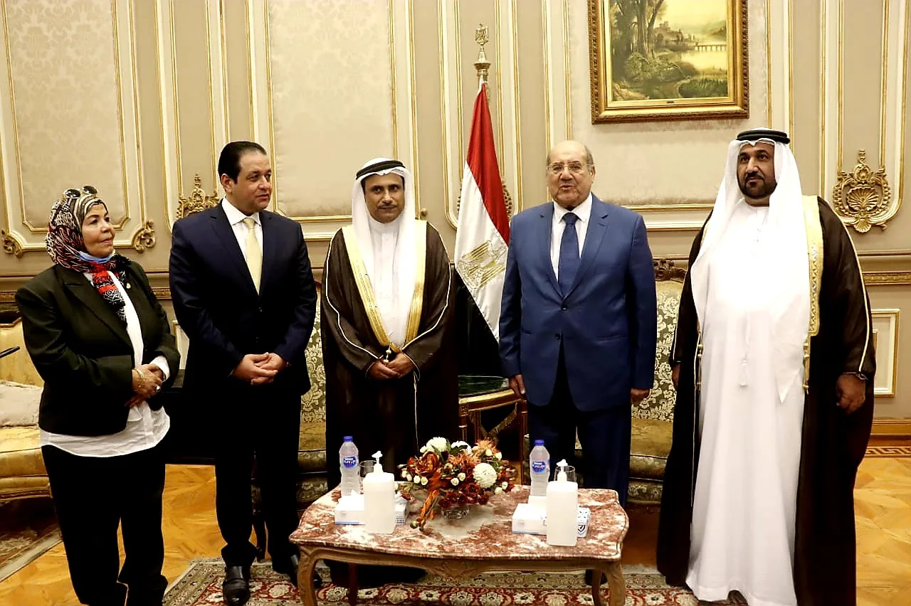 رئيس مجلس الشيوخ يلتقي رئيس البرلمان العربي ويؤكد التنسيق لدعم القضايا العربية