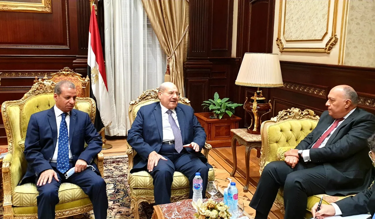 نحرص علي التعاون معكم .. وزير الخارجية مهنئاً رئيس مجلس الشيوخ