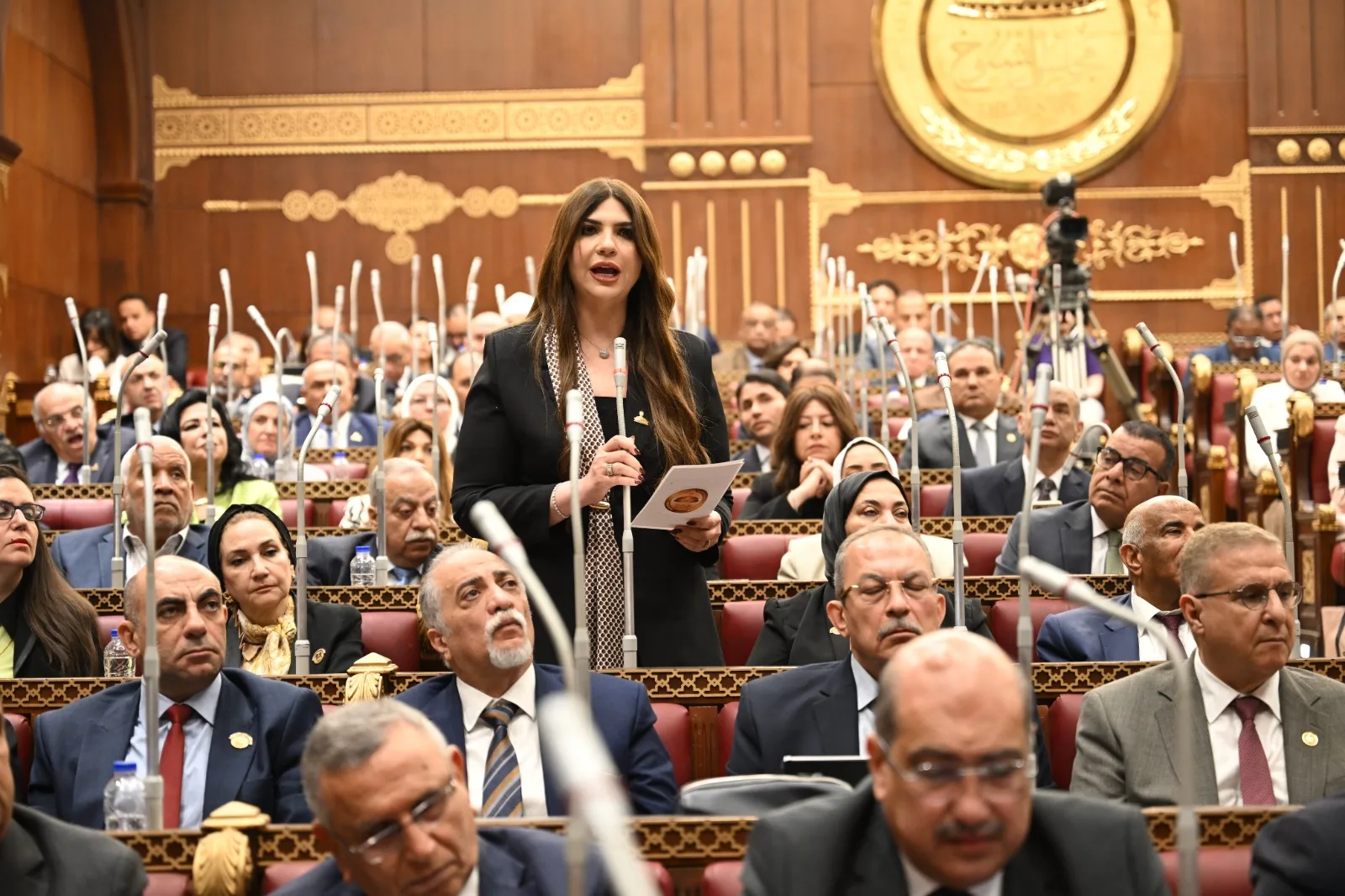 النائبة غادة البدوي: مشروع الدلتا الجديدة نقلة كبرى في الأمن الغذائي