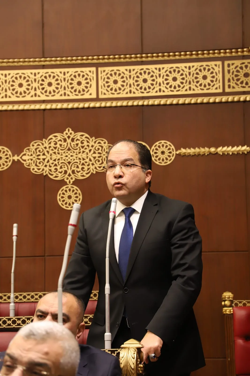 النائب عادل اللمعي: تطوير المنظومة الجمركية ضرورة لتعزيز تنافسية الاقتصاد المصري وجذب الاستثمارات
