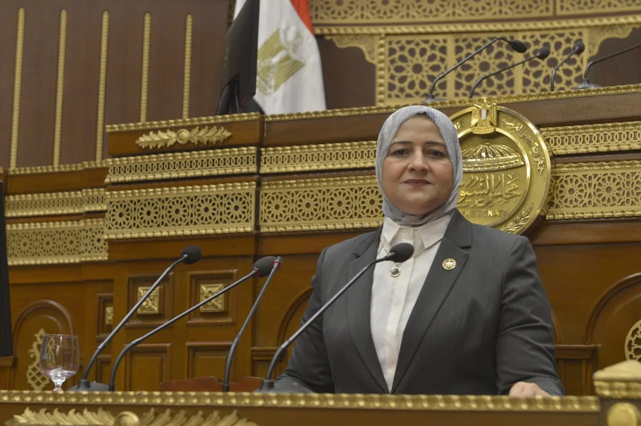 النائبة مروة قنصوة: زيادة المعاشات تجسد التزام الدولة بحماية المواطنين وتعزيز جودة الحياة