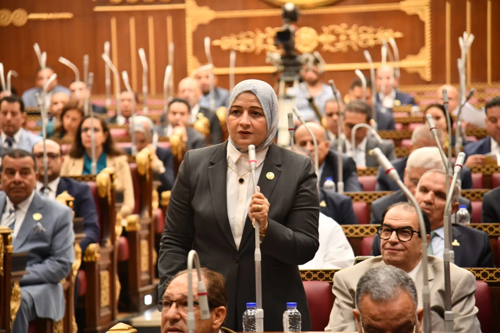 النائبة مروة قنصوه: ثورة 30 يونيو ستظل رمزًا للوعي الوطني والانتماء لمصر