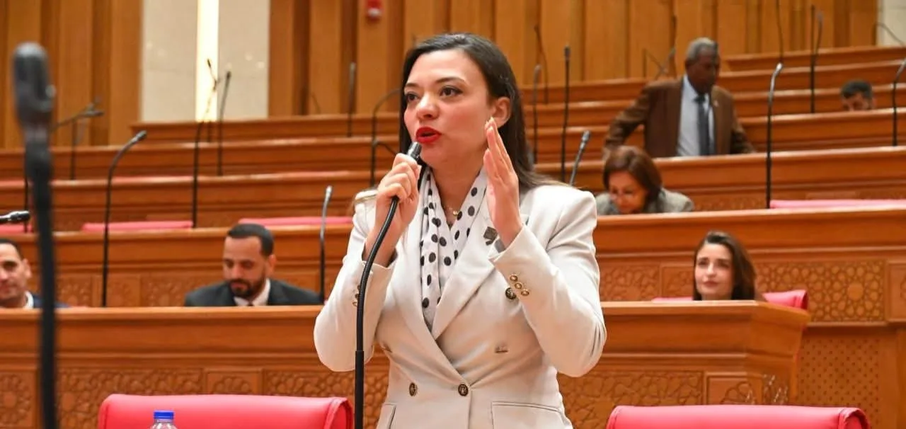 النائبة مى كرم جبر توافق على مشروع قانون العلاوة وزيادة الحافز الإضافي للموظفين.. وتطالب بالسيطرة على الأسعار