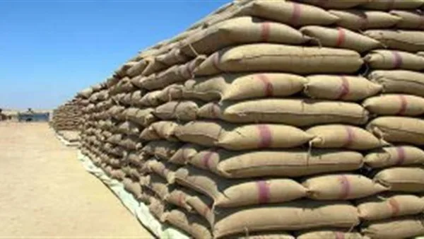 وفيه حشرات.... "مباحث التموين" تضبط 694 طن قمح محلي "مسوس" وغير صالح للإستخدام
