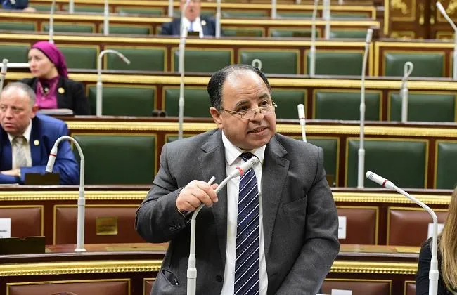 التاريخ سيكتب عنكم.. وزير المالية يمدح مجلس "عبدالعال" بعد زيادة الضرائب