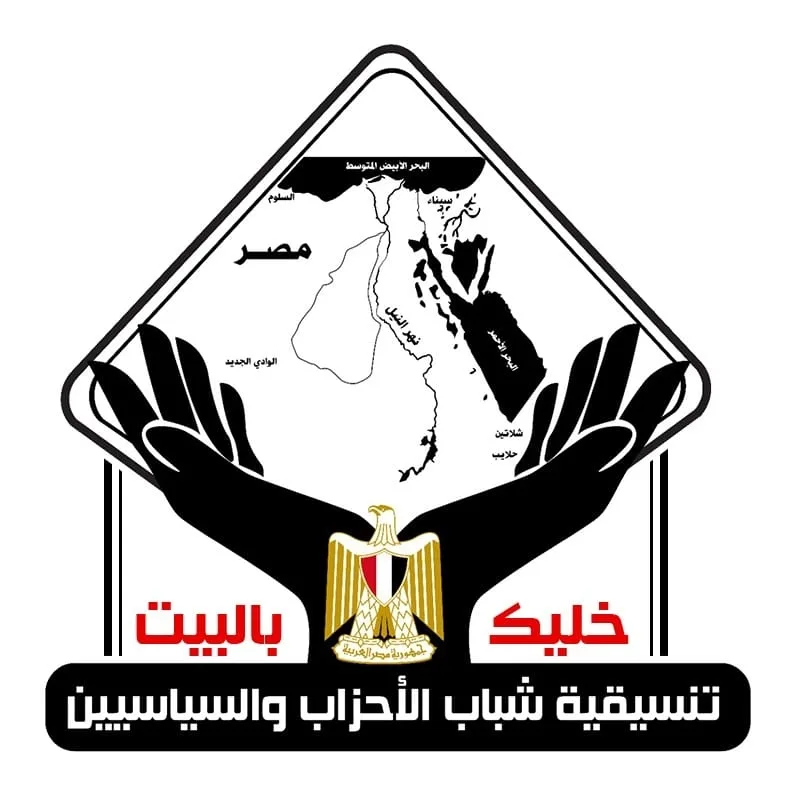 تنسيقية شباب الأحزاب تصنع مستقبل جديد.. وطموحاتها: تغيير مصر للأفضل