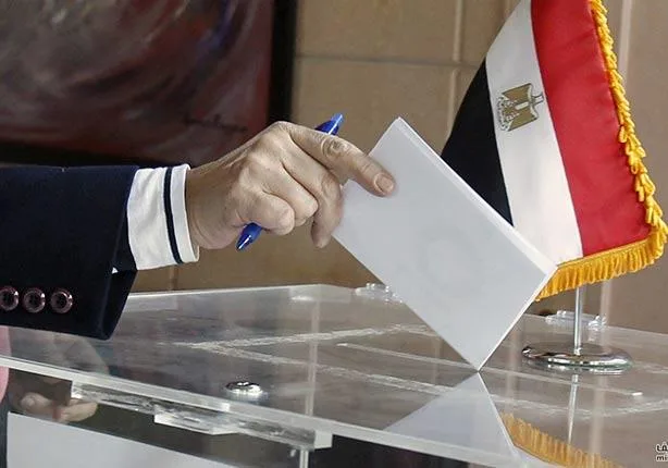 "ستائر للتصويت".. ماذا قالت التنسيقية في بيانها الأول بجولة الإعادة في انتخابات النواب