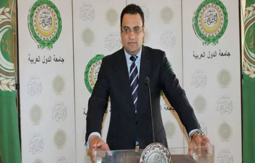"نجاح جديد".. مصر تفوز بعضوية هيئة حقوق الإنسان بمنظمة التعاون الإسلامي