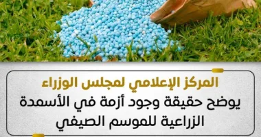 الحكومة: لا أزمة أسمدة.. والمخزون آمن ويكفي الموسم الصيفي