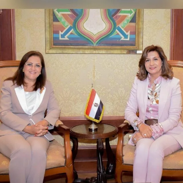 يعني ايه دستور.. هل تستهين وزارة التخطيط بدور مجلس النواب في مصر؟